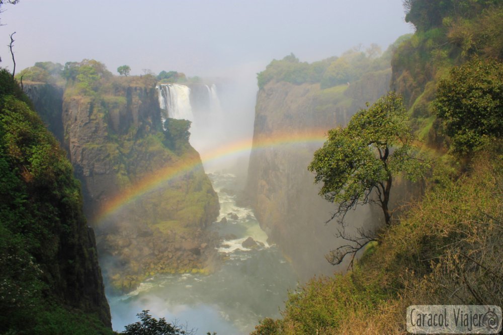 cómo llegar a las cataratas Victoria