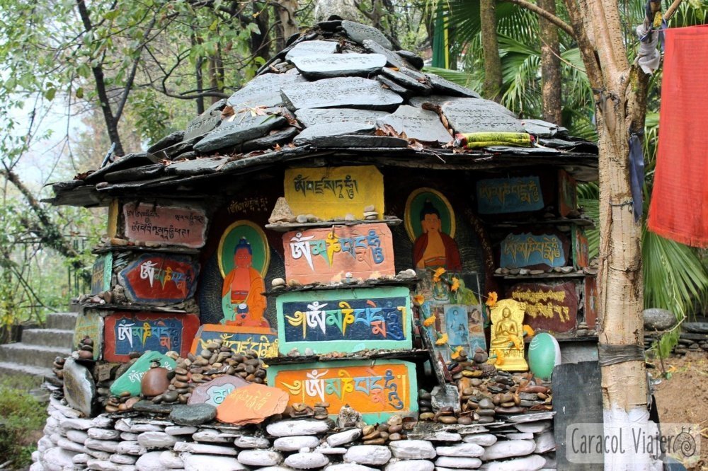 exilio tibetano en la India