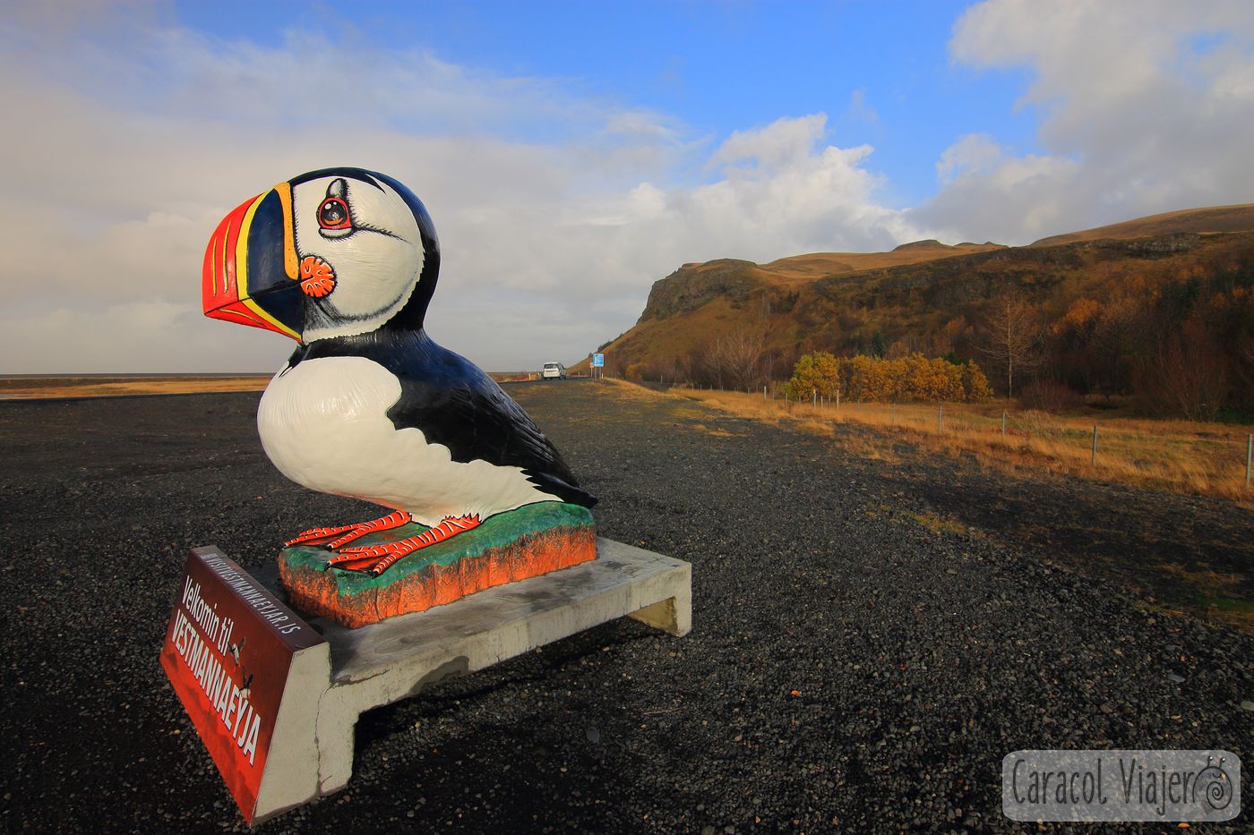 Cueva de hielo en Islandia y visita a sus glaciares