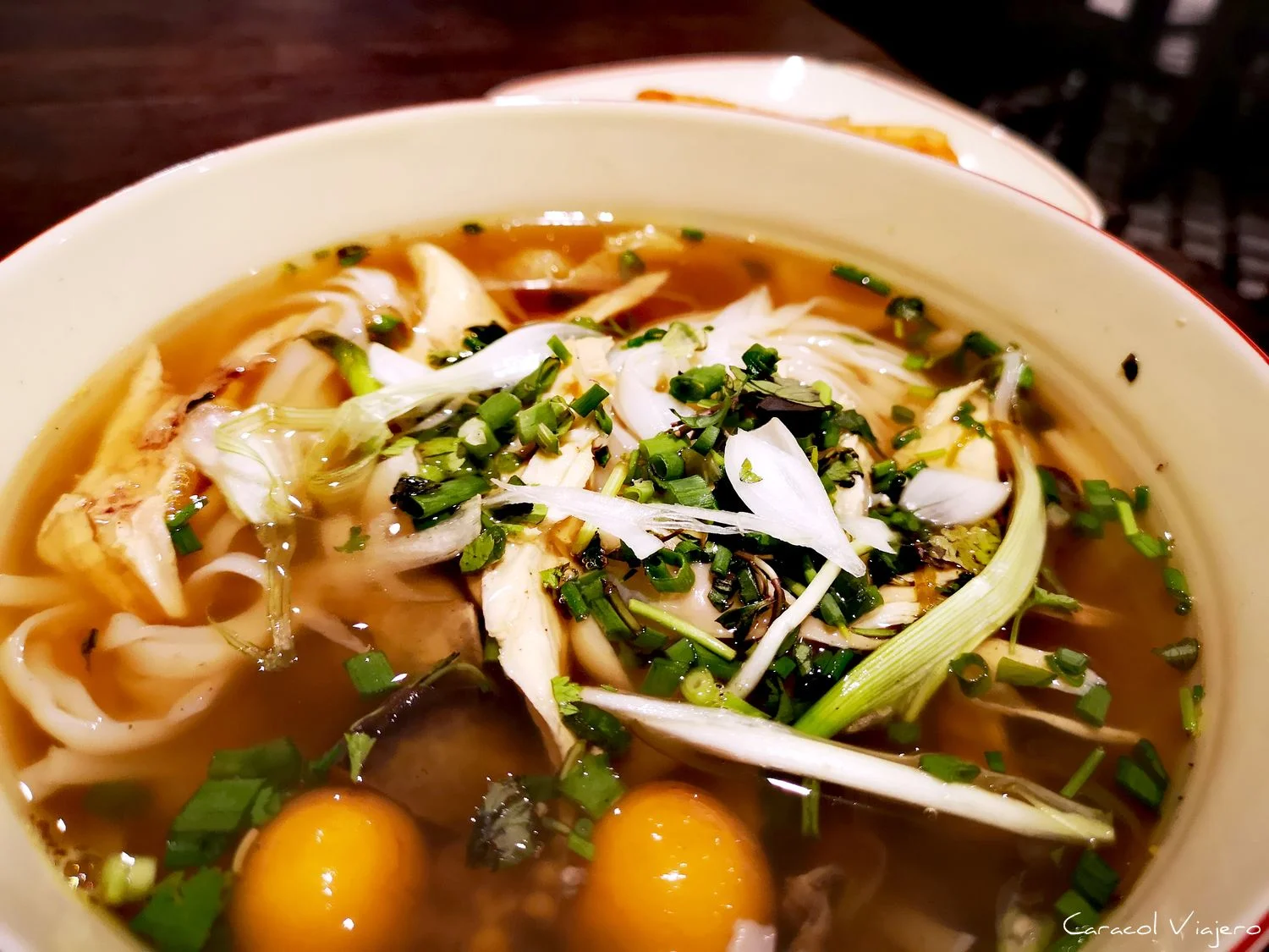 Sopa vietnamita: pho