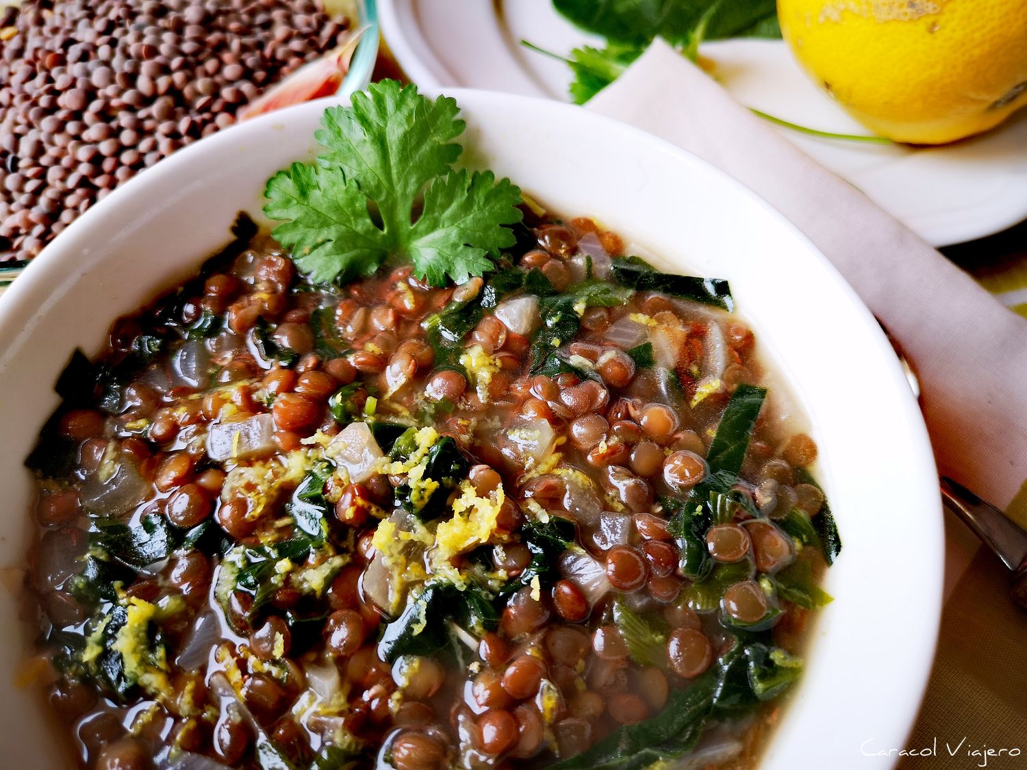sopa libanesa de lentejas y espinacas
