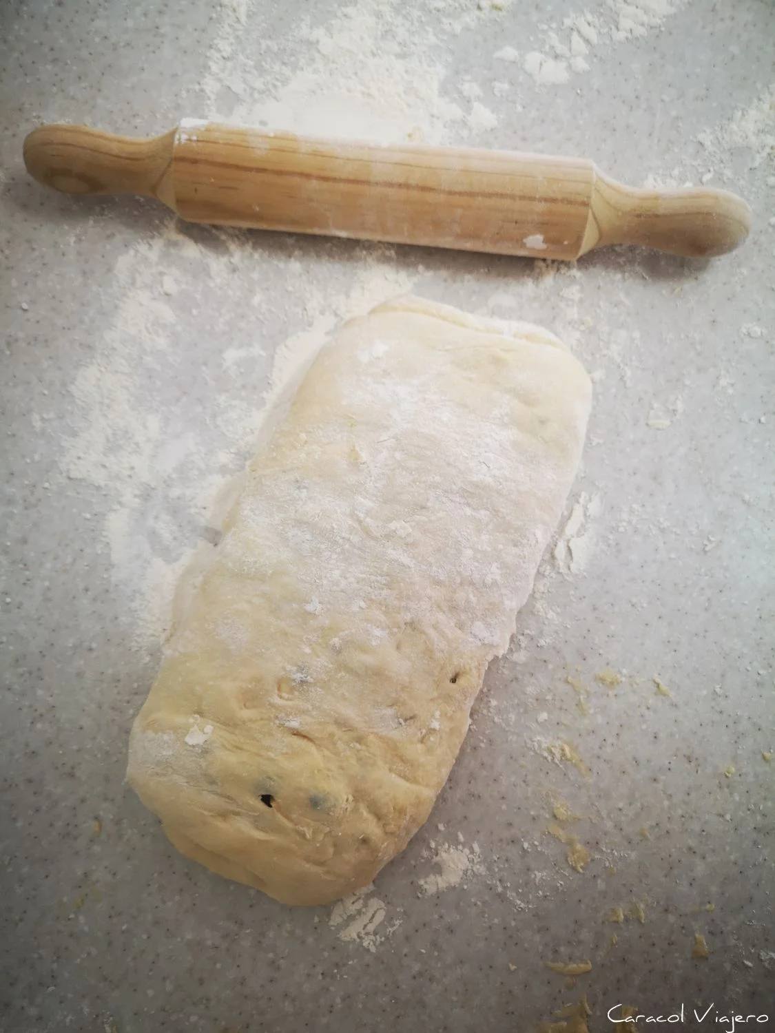 Panettone con masa madre