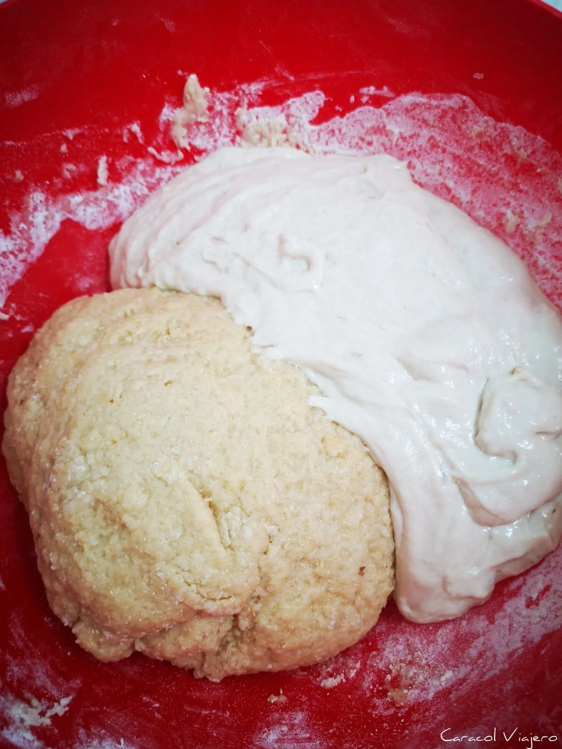 Leudado de masa madre panettone