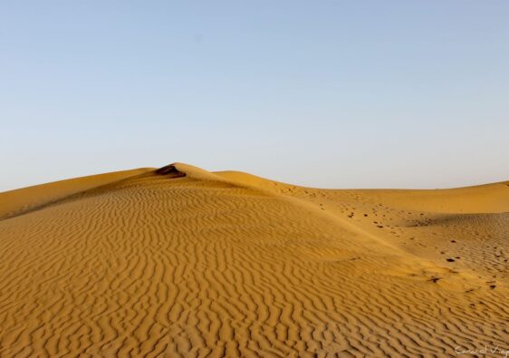 desierto del thar