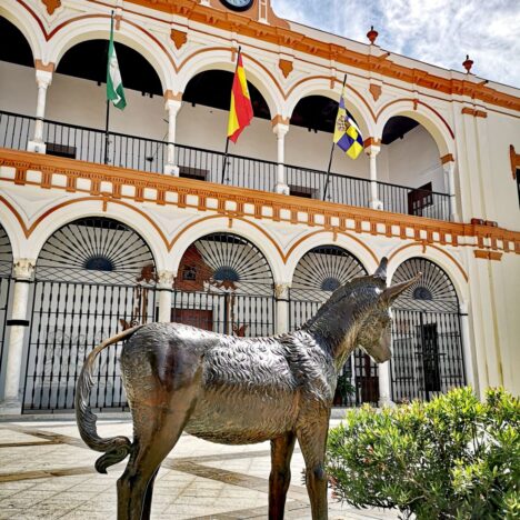 Viajar a Islandia en octubre: auroras boreales