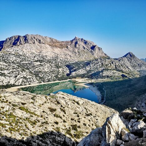 Pan de calabaza | Pumpkin bread, receta de Halloween