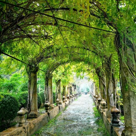 Hummus de tomate seco – Listo en 10 minutos