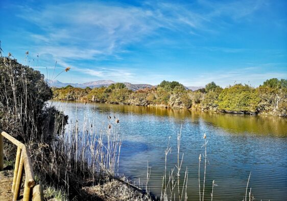 Albufera de Alcudia, Mallorca