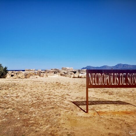 Tendencias gastronómicas: explorando el mundo culinario actual