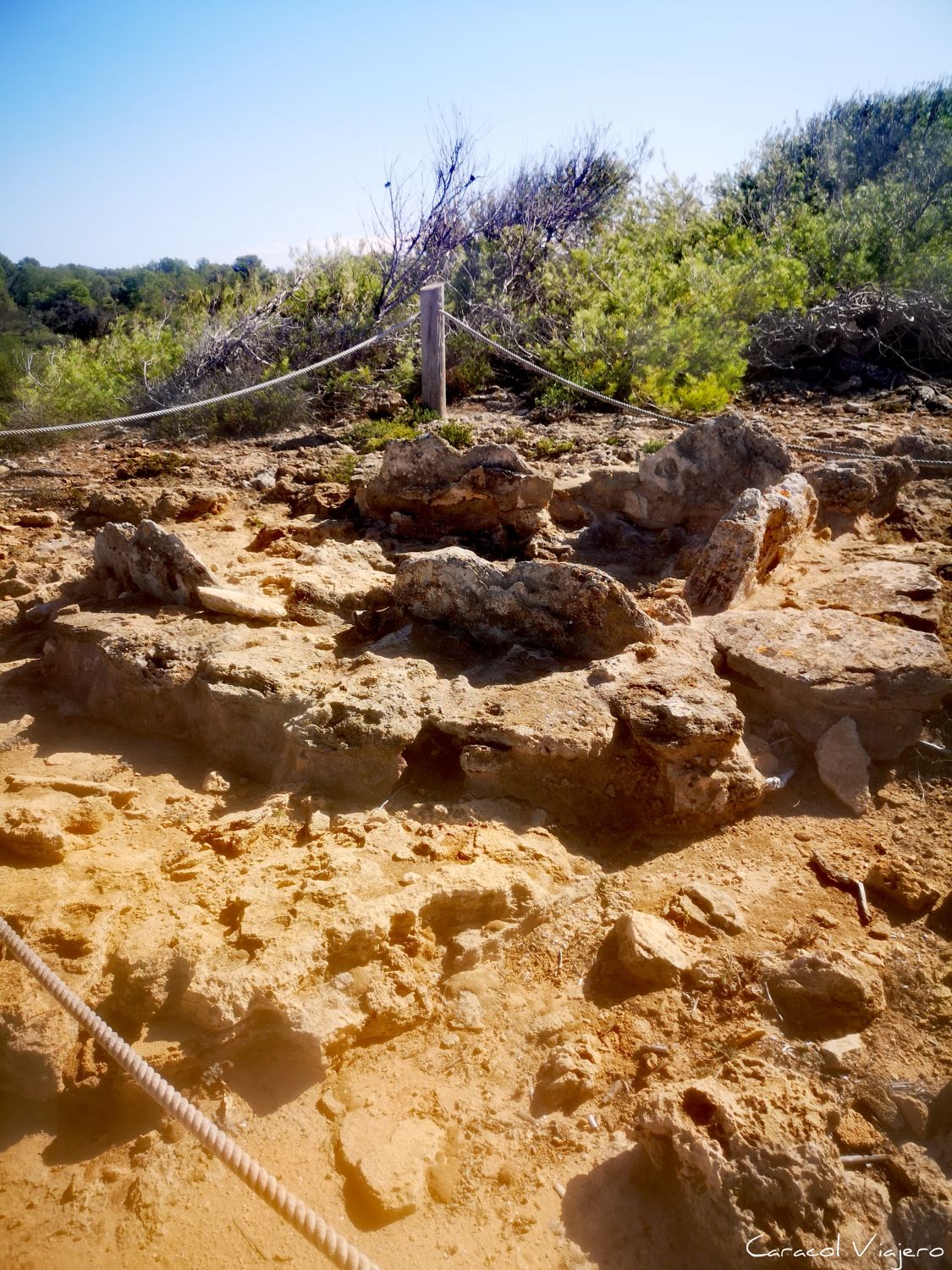 Necrópolis de Son Real