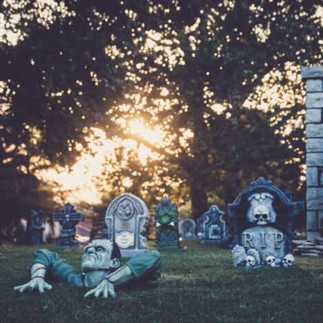 Cocina callejera en el Sudeste Asiático: platos deliciosos