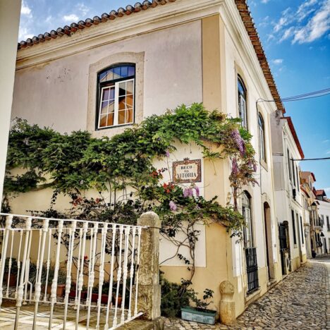 Tarta de queso con crema de cacahuete