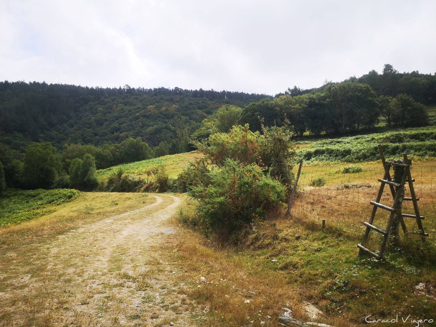 Galicia, Fragas do Eume