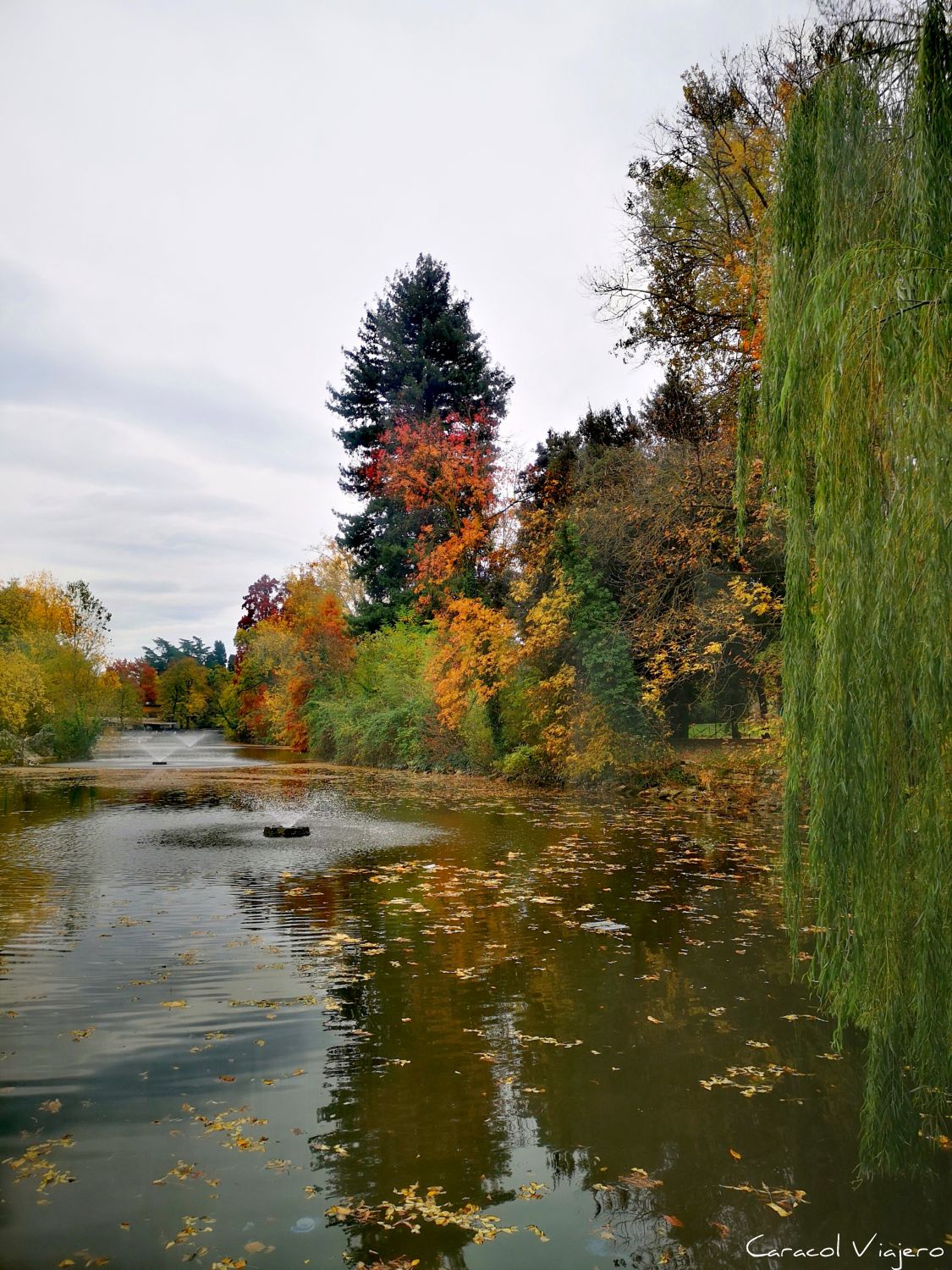 Qué ver en Bolonia en 2 días
