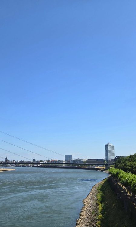 Qué ver en Düsseldorf: Rheinturm junto al río con un cielo azul de fondo